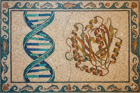 DNA and a protein mosaic